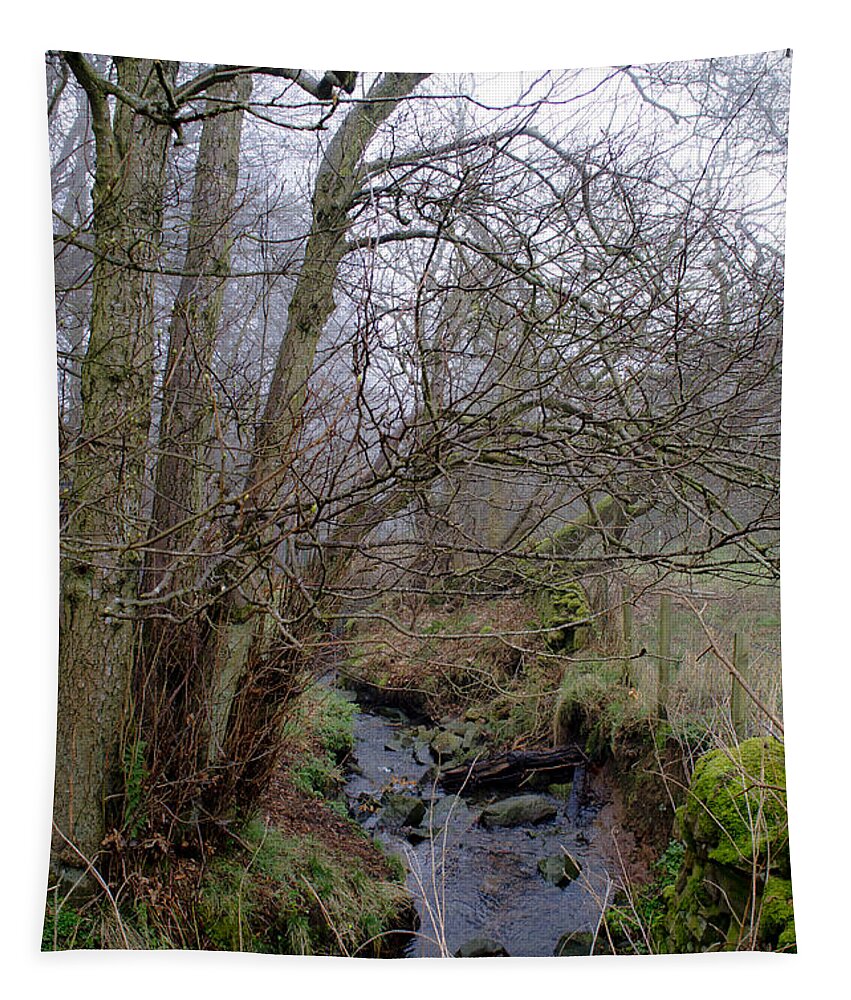 Stream Tapestry featuring the photograph In the Forest. by Elena Perelman