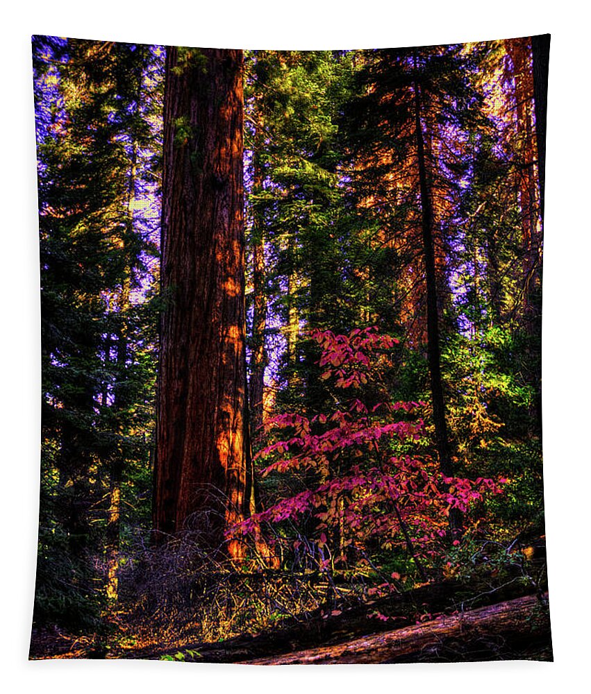 California Tapestry featuring the photograph In the Giant Forest by Roger Passman