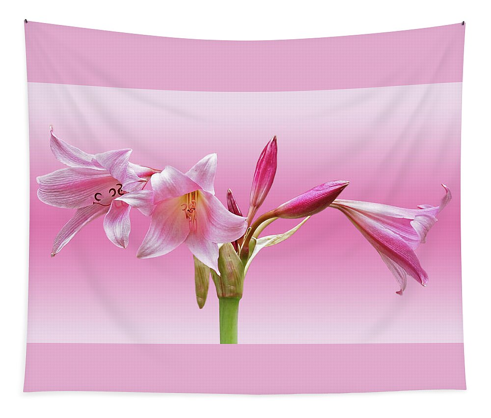 Lily Tapestry featuring the photograph In The Pink by Gill Billington