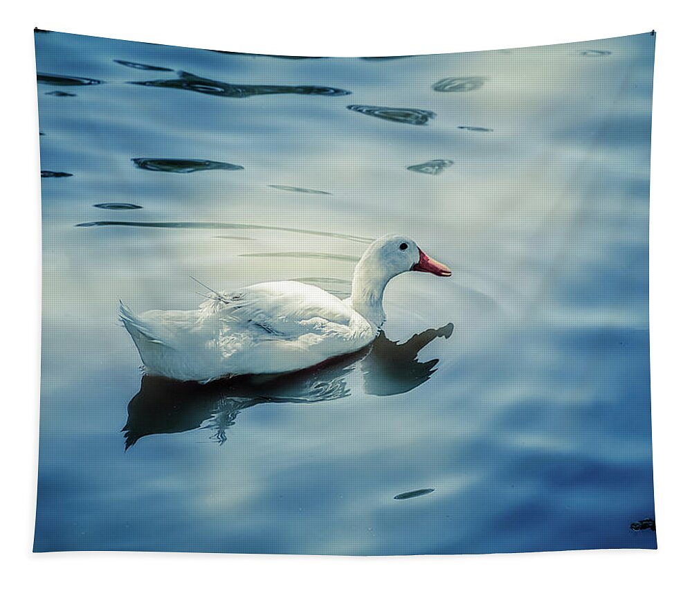 Photography Tapestry featuring the digital art In the Pond by Terry Davis