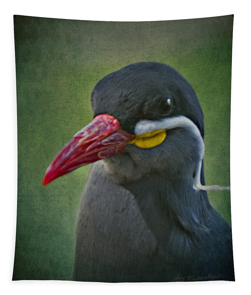 Inca Tern Tapestry featuring the photograph Inca Tern _ 1a by Walter Herrit