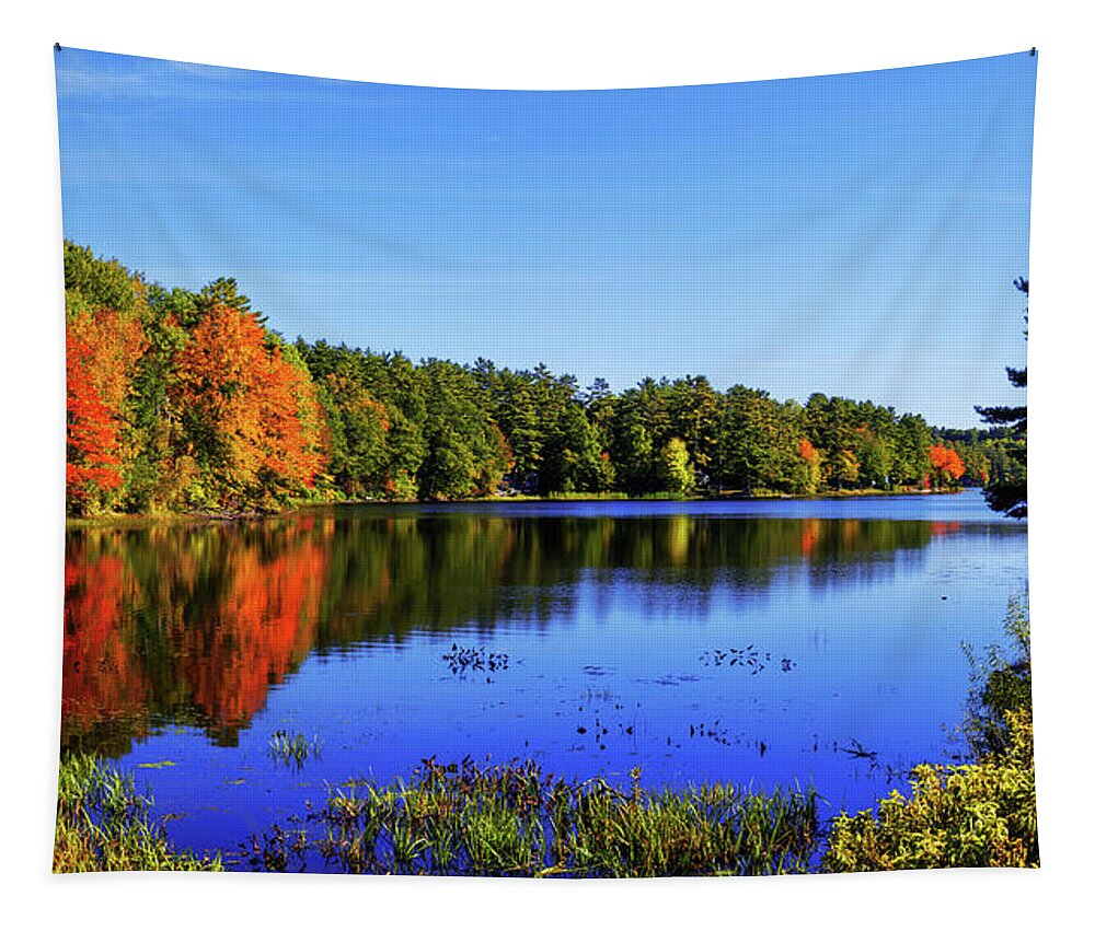New England Tapestry featuring the photograph Incredible by Chad Dutson