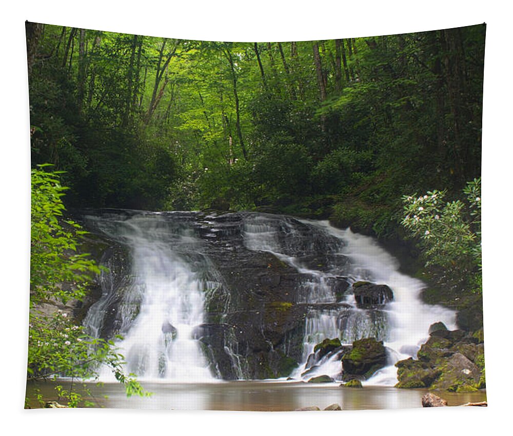 Art Prints Tapestry featuring the photograph Indian Creek Falls by Nunweiler Photography