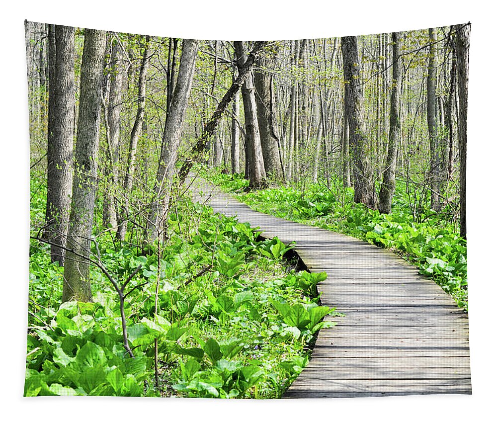 Indiana Dunes National Lakeshore Tapestry featuring the photograph Indiana Dunes Great Green Marsh Boardwalk by Kyle Hanson