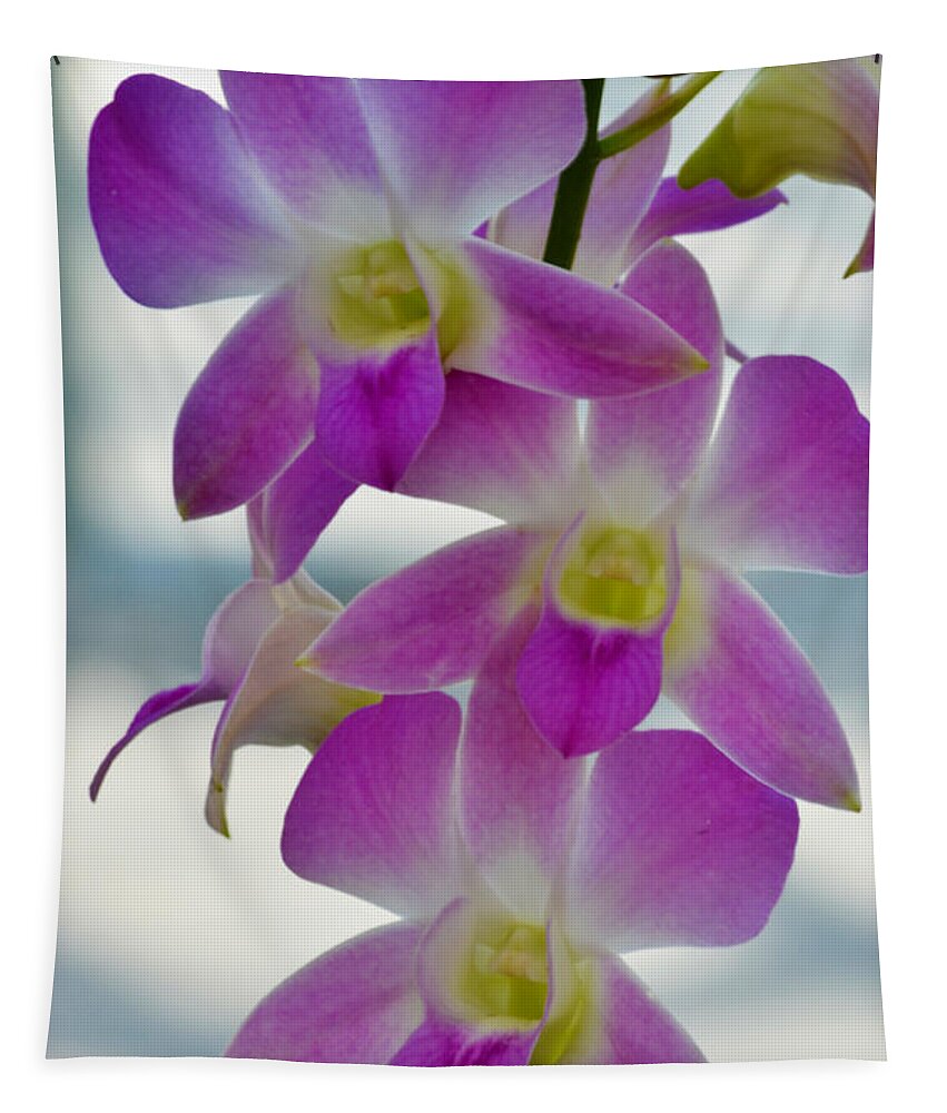 Orchid Tapestry featuring the photograph Innocent Beauties by Melanie Moraga