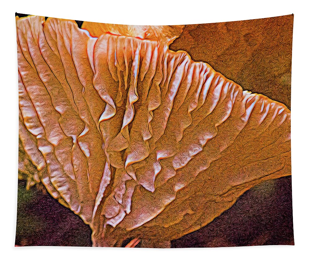 Cantharellus Tapestry featuring the photograph Interesting Aspect of Cantharellus by Douglas Barnett