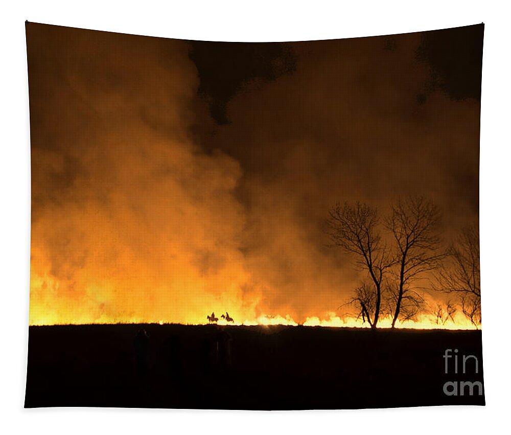 Fire Tapestry featuring the photograph Into the Fire by Crystal Nederman
