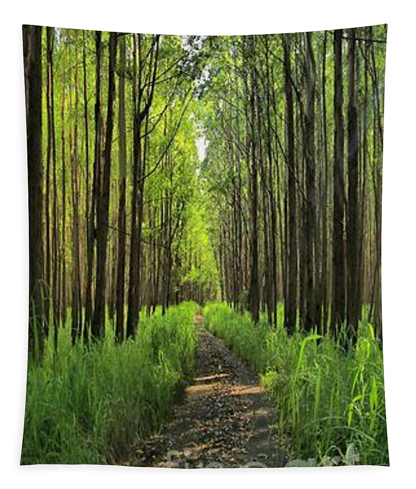 Forest Tapestry featuring the photograph Into The Forest I Go by DJ Florek