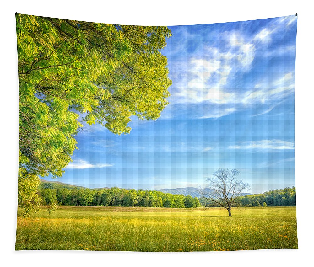 Blue Ridge Mountains Tapestry featuring the photograph Into Walnut Field by Sylvia J Zarco