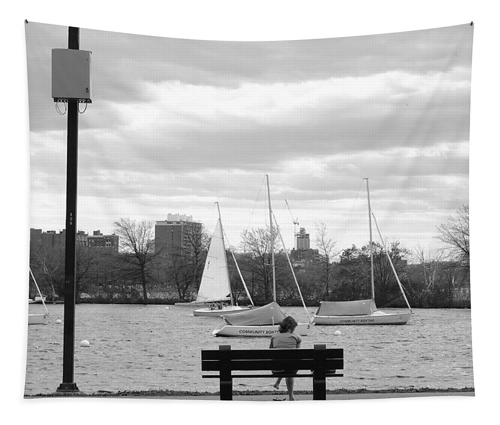 River Tapestry featuring the photograph Introspection on the Charles by Christopher Brown