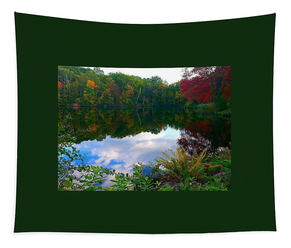 Autumn Tapestry featuring the photograph Introvert by Dani McEvoy