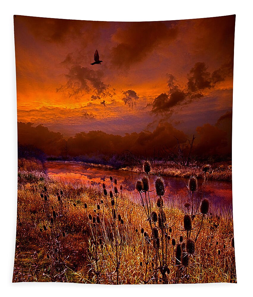 Horizons Tapestry featuring the photograph Intuition by Phil Koch