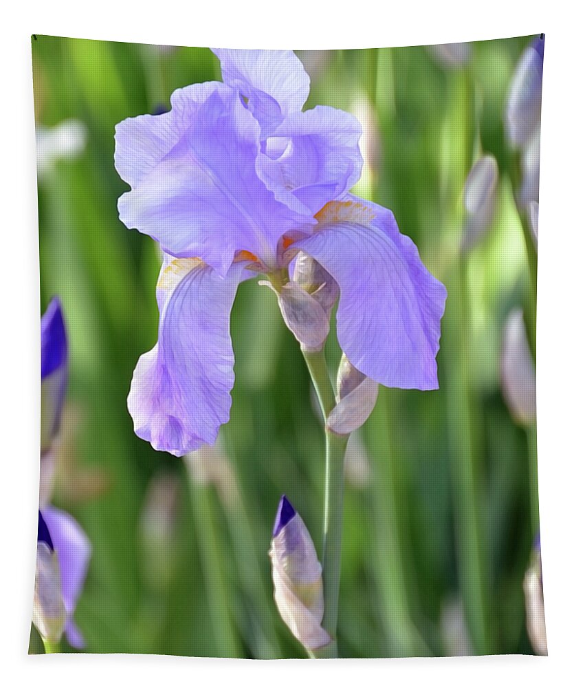 Iris Tapestry featuring the photograph Iris Intoxication by Angelina Tamez