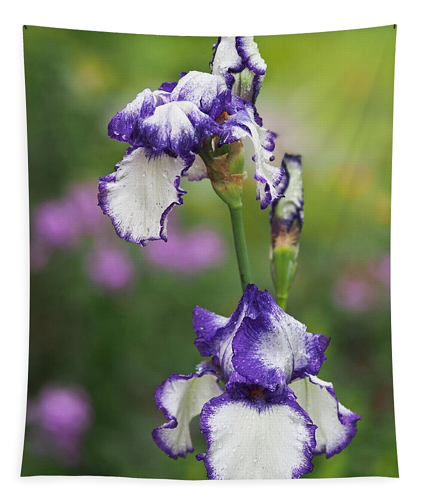 Iris Tapestry featuring the photograph Iris Loop the Loop by Rona Black