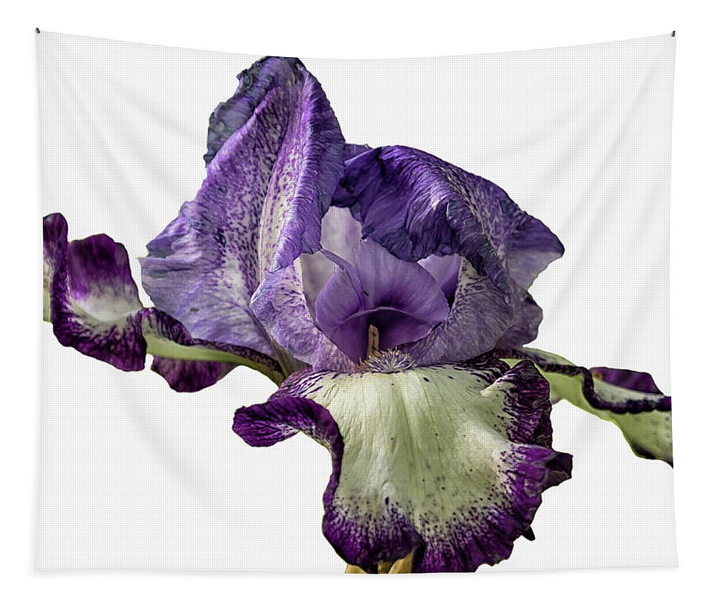 Iris Tapestry featuring the photograph Iris with Flare by Belinda Greb