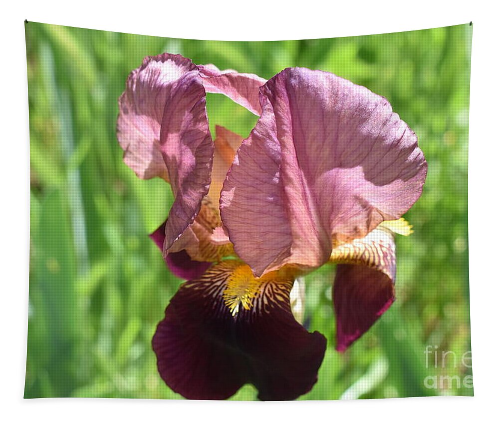 Photography Tapestry featuring the digital art Iris by Yenni Harrison