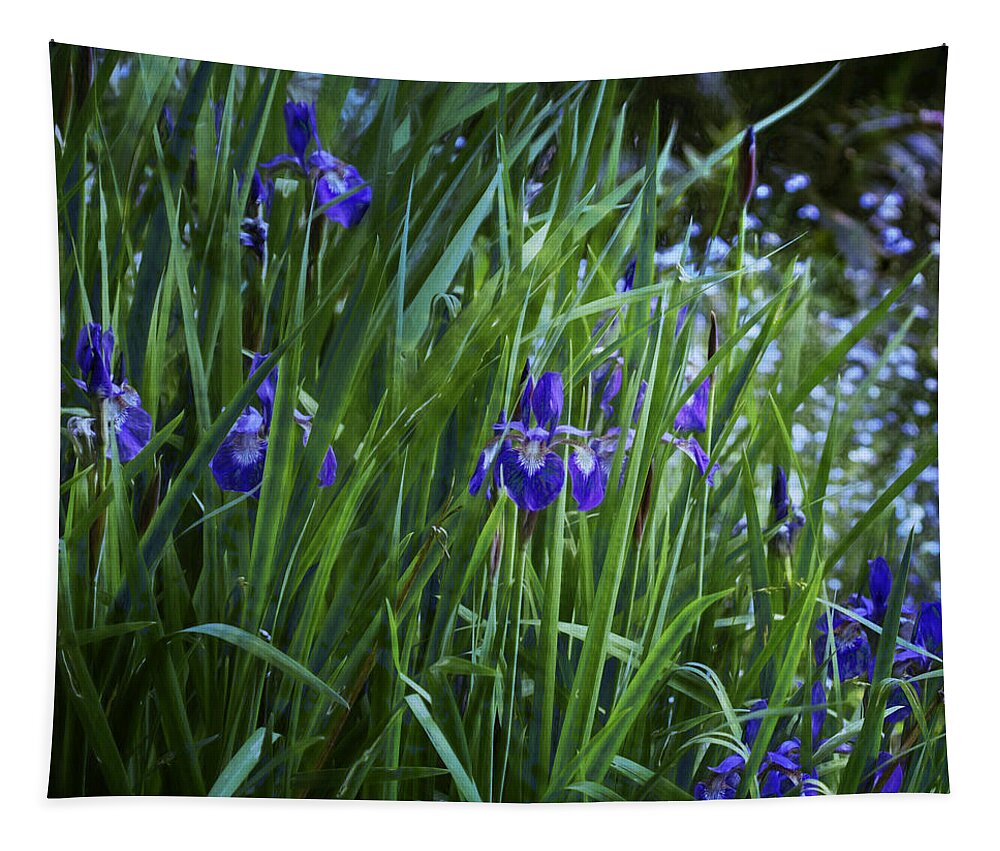 Iris Tapestry featuring the photograph Irises by Belinda Greb