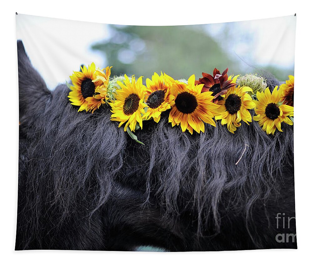 Rosemary Farm Tapestry featuring the photograph Isabelle and the Sunflowers by Carien Schippers