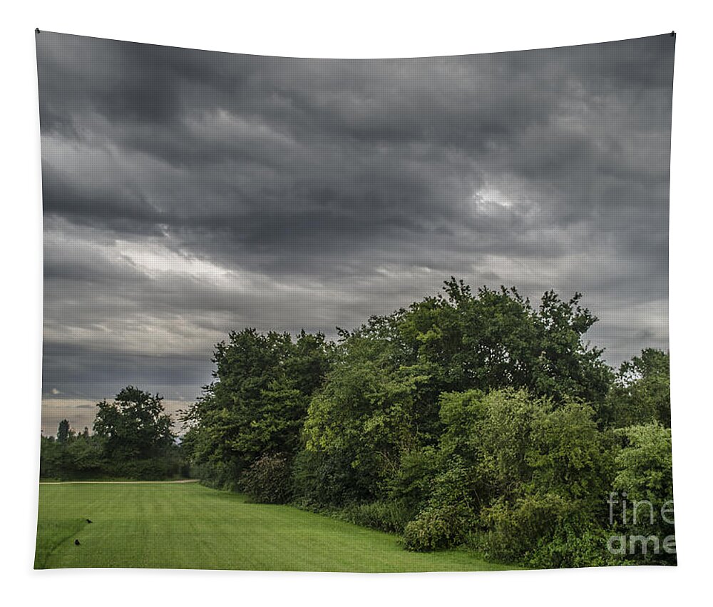 Michelle Meenawong Tapestry featuring the photograph It Will Rain Soon by Michelle Meenawong