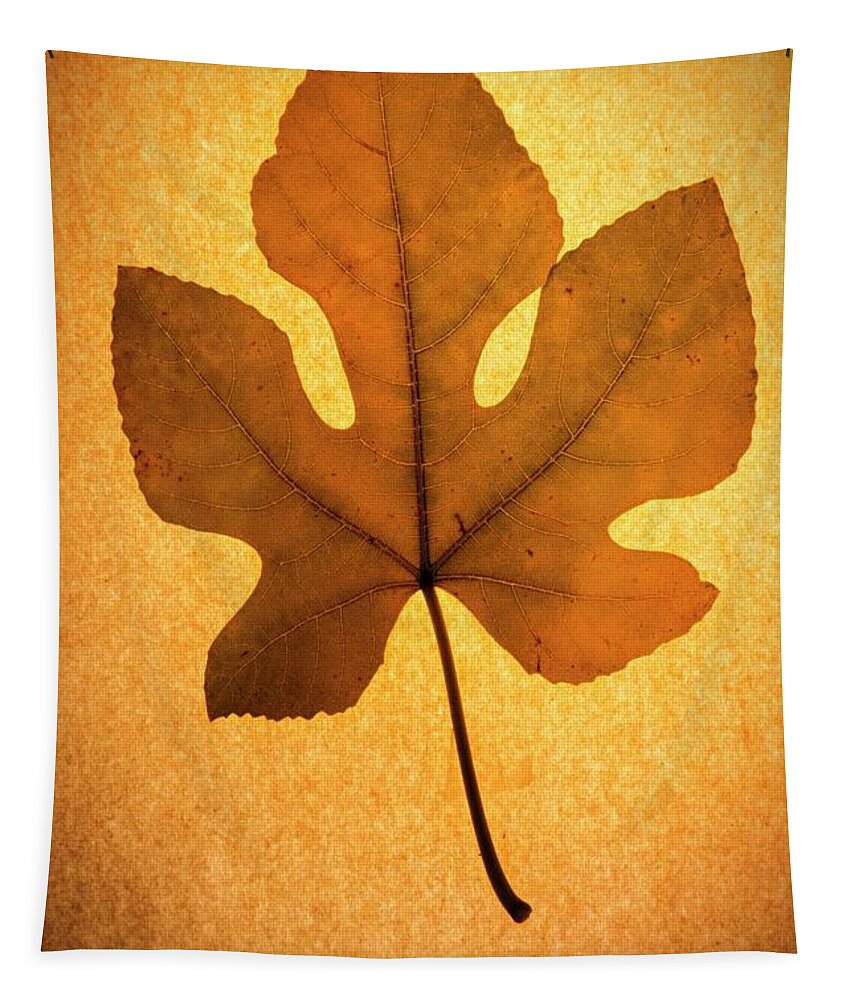 Italian Honey Fig Leaf Tapestry featuring the photograph Italian Honey Fig Leaf by Frank Wilson