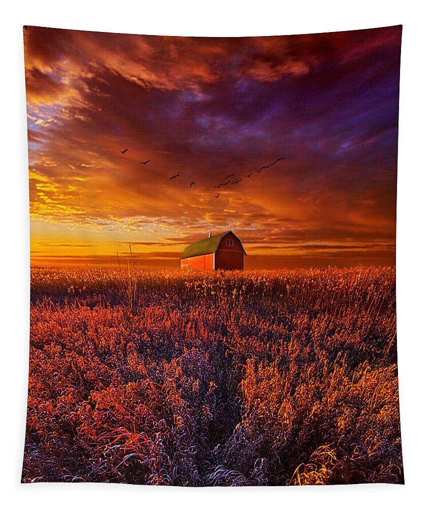 Fall Tapestry featuring the photograph It's the Fire and the Wings that Fly Us Home by Phil Koch