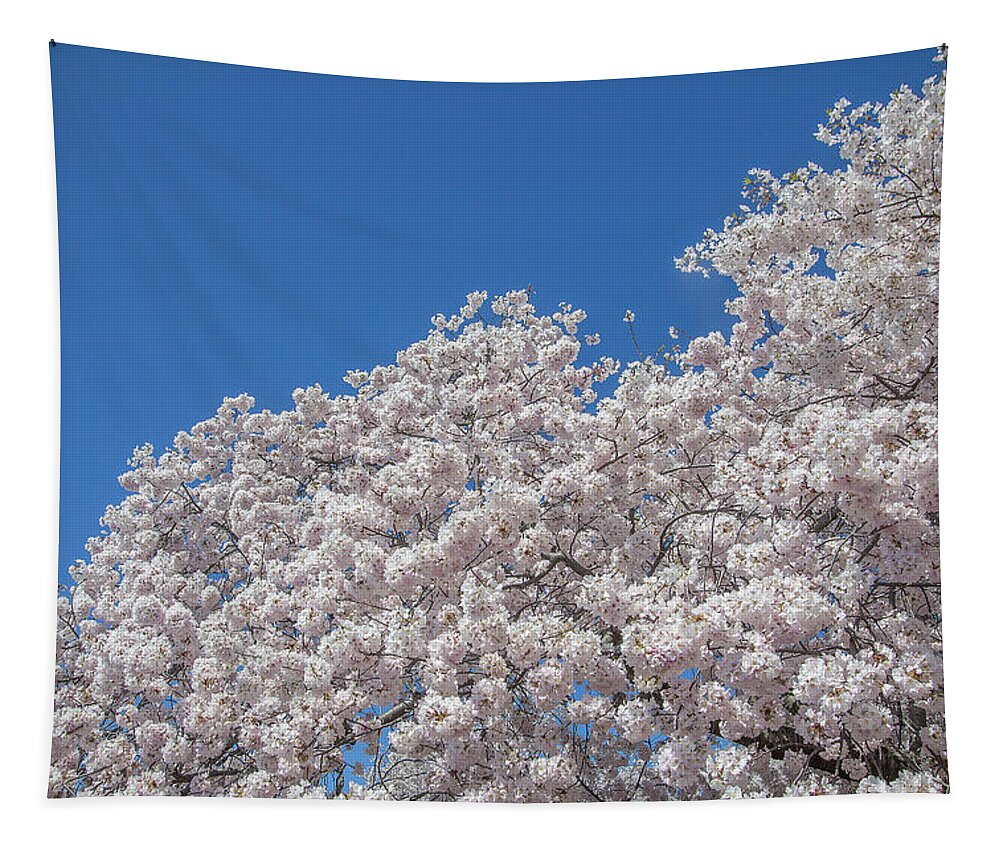 Scenic Tapestry featuring the photograph Japanese Cherry Tree Blossoms on the Tidal Basin DS0081 by Gerry Gantt
