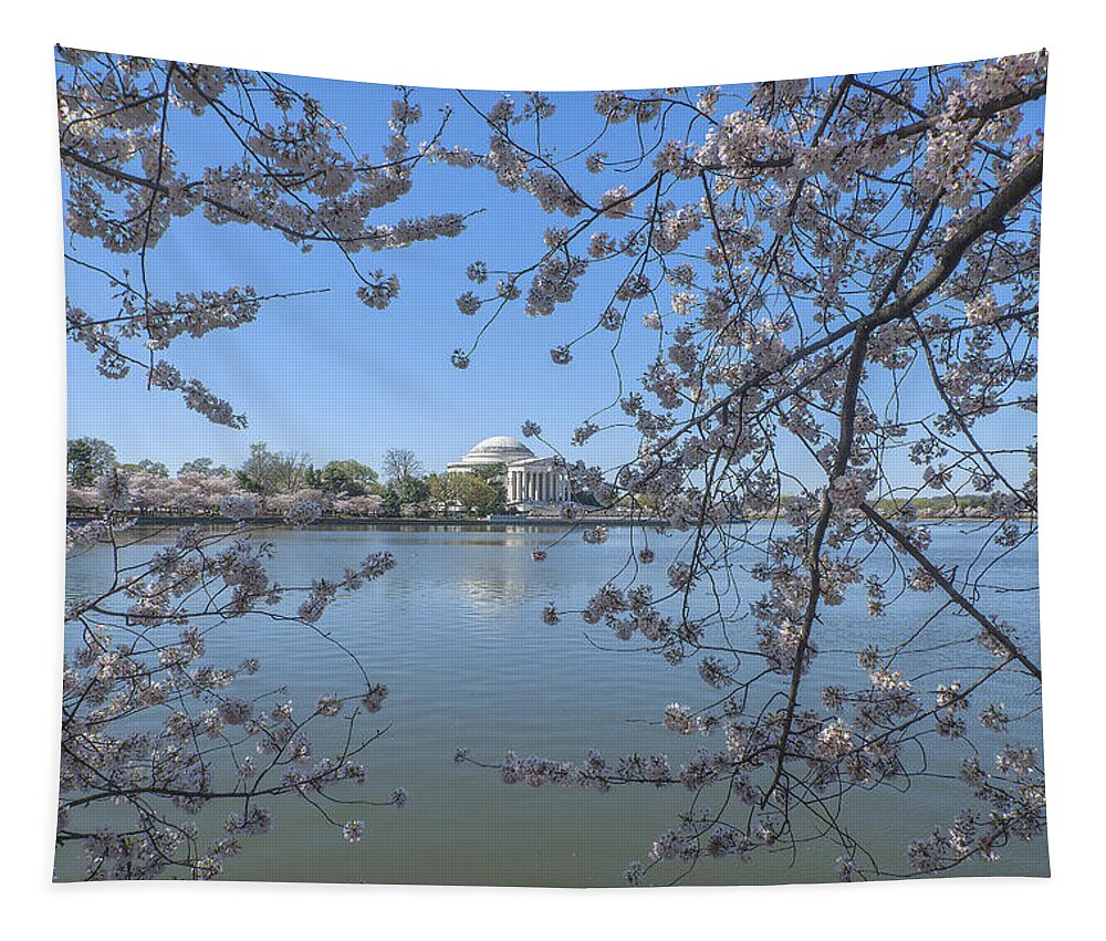 Scenic Tapestry featuring the photograph Jefferson Memorial on the Tidal Basin DS0070 by Gerry Gantt