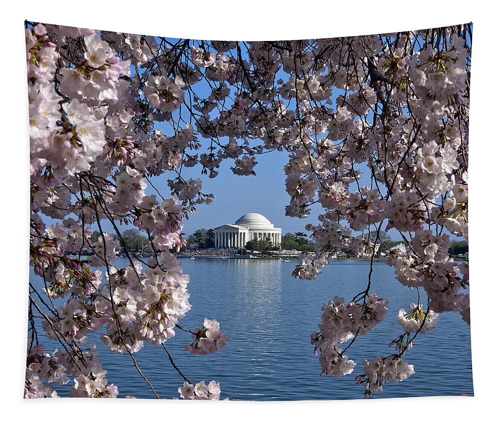Washington D.c. Tapestry featuring the photograph Jefferson Memorial on the Tidal Basin DS051 by Gerry Gantt