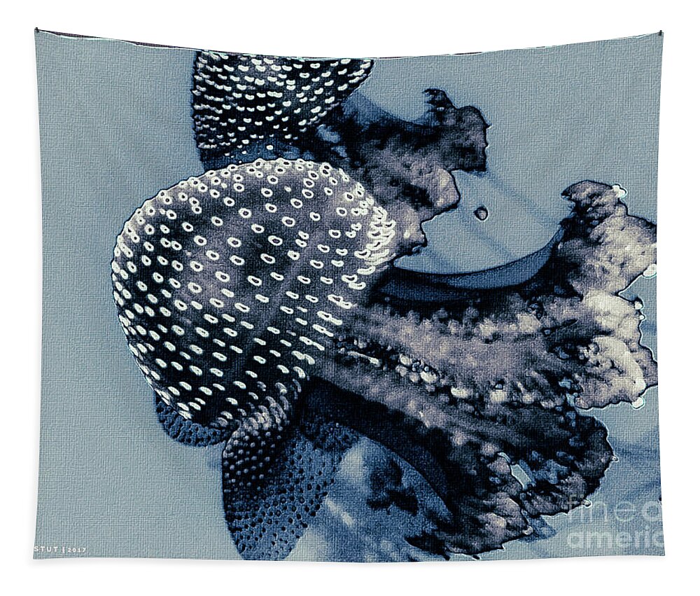 Mona Stut Tapestry featuring the digital art Jelly Fish Cnidarian Quallen Blue by Mona Stut