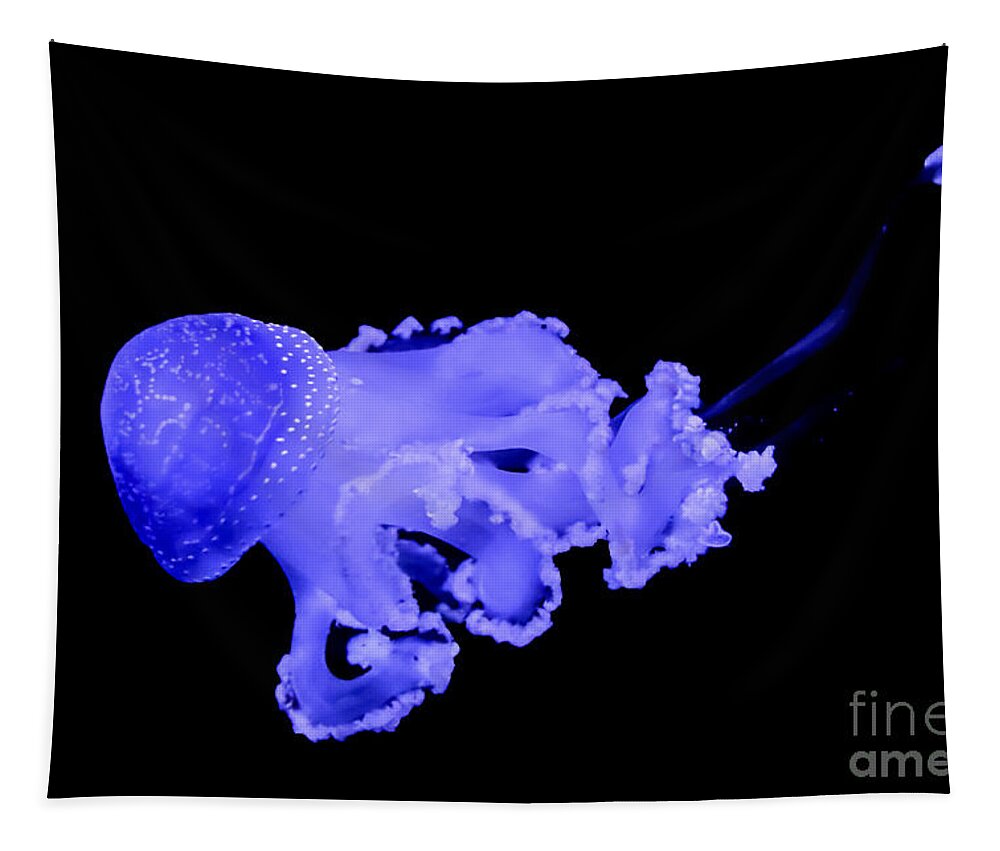 Jellyfish Tapestry featuring the photograph Jellyfish by Amanda Mohler