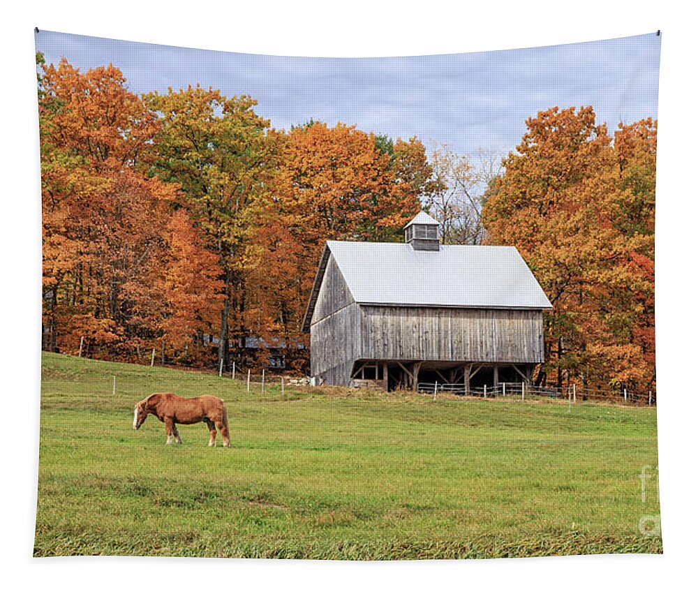 Horse Tapestry featuring the photograph Jericho Hill Vermont Horse Barn Fall Foliage by Edward Fielding
