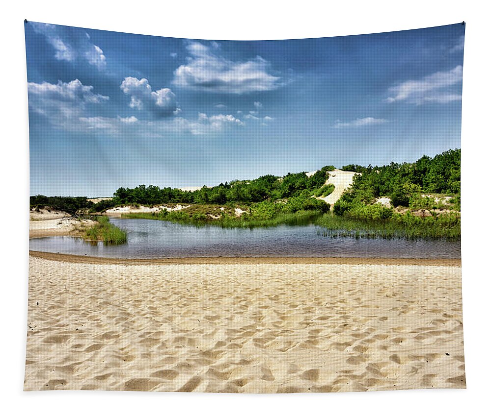 Jockey's Ridge State Park Tapestry featuring the photograph Jockey's Ridge State Park - North Carolina by Brendan Reals
