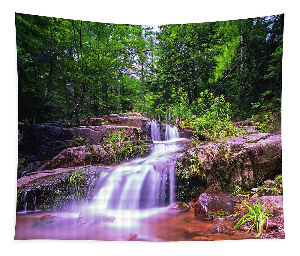 Johns Tapestry featuring the photograph Johns Brook Trail Big Slide Mountain Keen Valley NY Waterfall by Toby McGuire