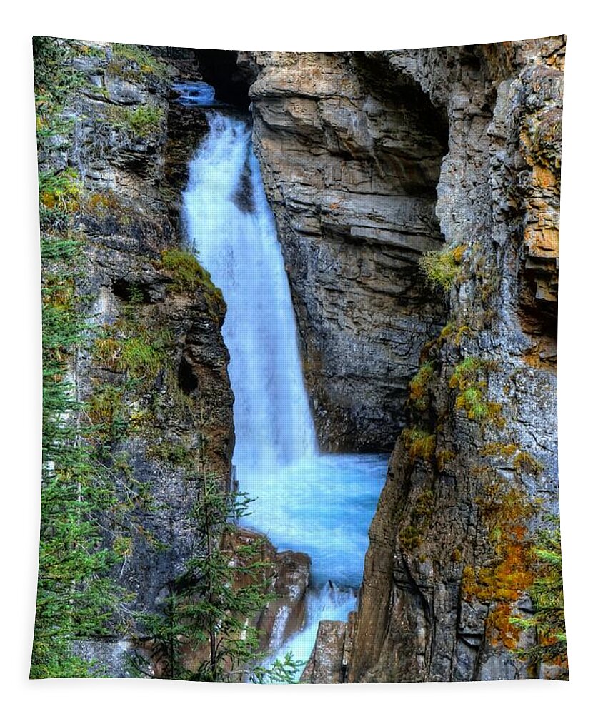 Animals Tapestry featuring the photograph Johnston Canyon Falls Hike Upper Falls by Wayne Moran