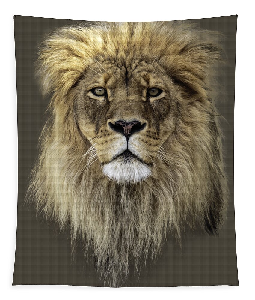 Lion Tapestry featuring the photograph Joshua t-shirt color by Everet Regal