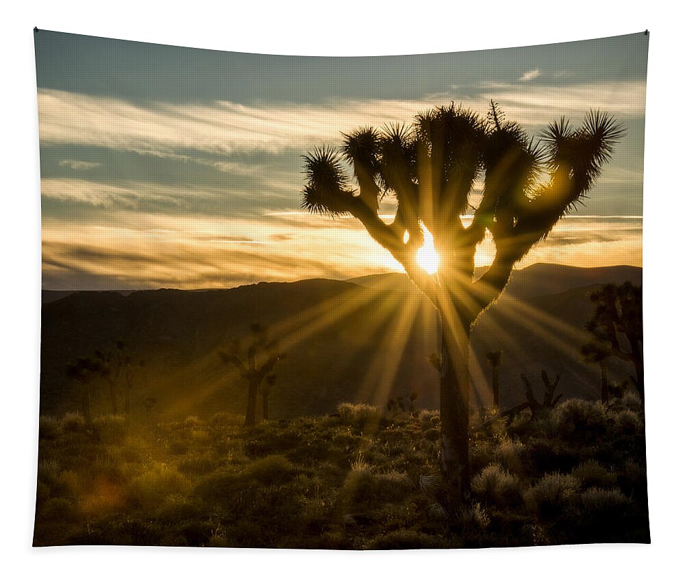 Death Valley Tapestry featuring the photograph Joshua Tree Sunset 2 by Matt Hammerstein