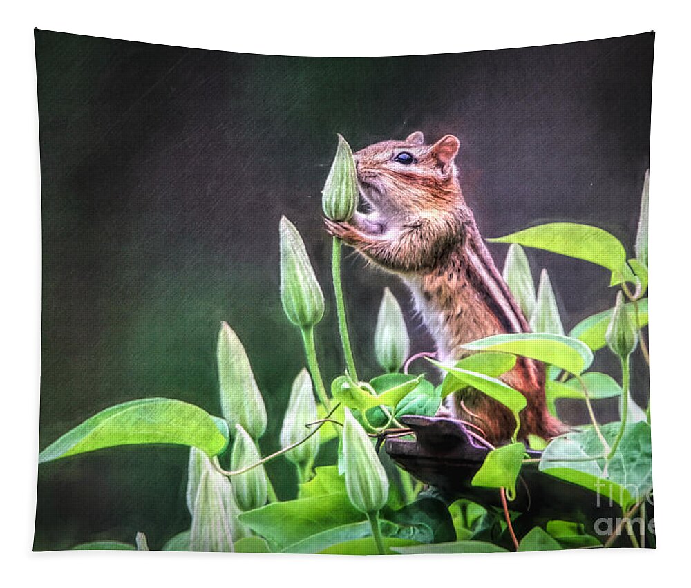 Chipmunk Tapestry featuring the photograph Just A Little Sniff by Tina LeCour