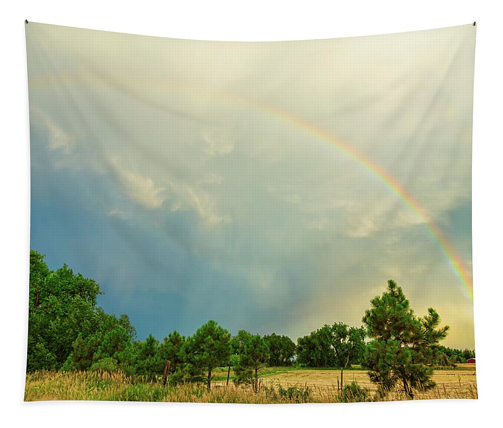 Rainbow Tapestry featuring the photograph Just Another Colorado Rainbow by James BO Insogna