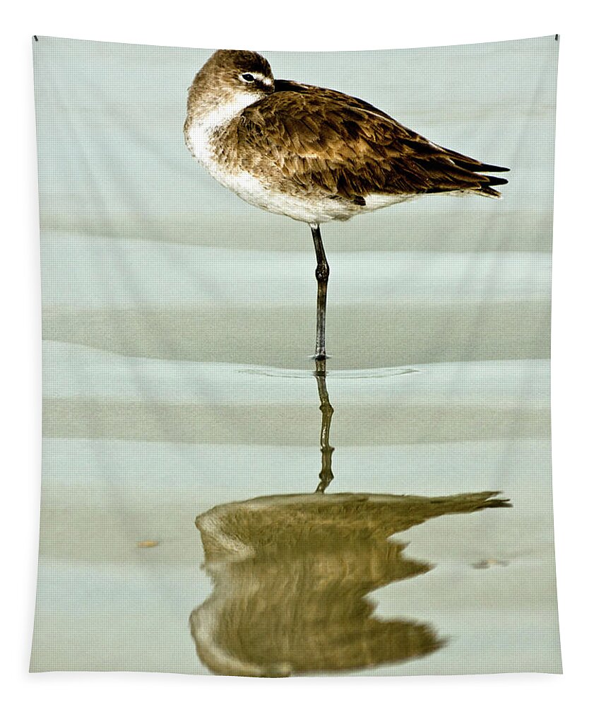 Willet Tapestry featuring the photograph Just Being Coy by Christopher Holmes