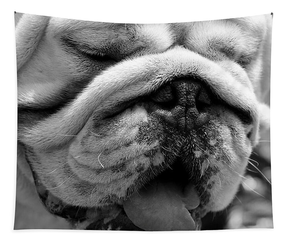 Bulldog Tapestry featuring the photograph Lovable by Fiona Kennard