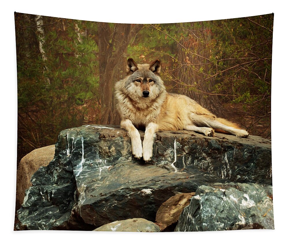 Animal Tapestry featuring the photograph Just Chilling by Susan Rissi Tregoning