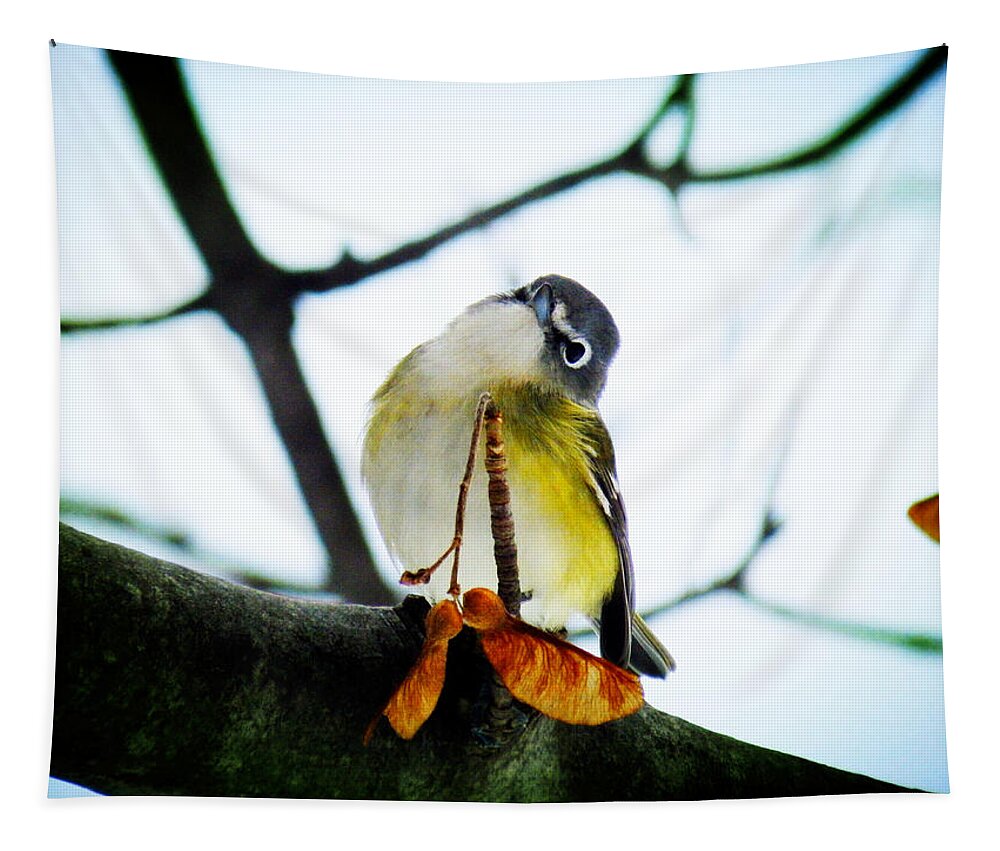 Blue-headed Vireo Tapestry featuring the photograph Just Curious by Zinvolle Art