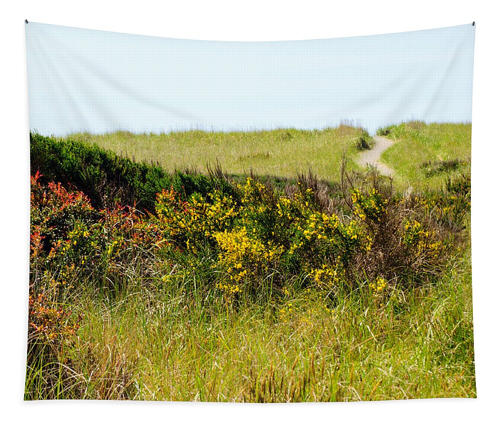 Just Over The Hill Tapestry featuring the photograph Just Over the Hill by Tikvah's Hope