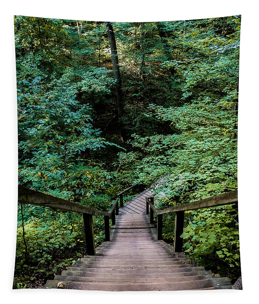 Path Tapestry featuring the photograph Just the Beginning by Ron Pate