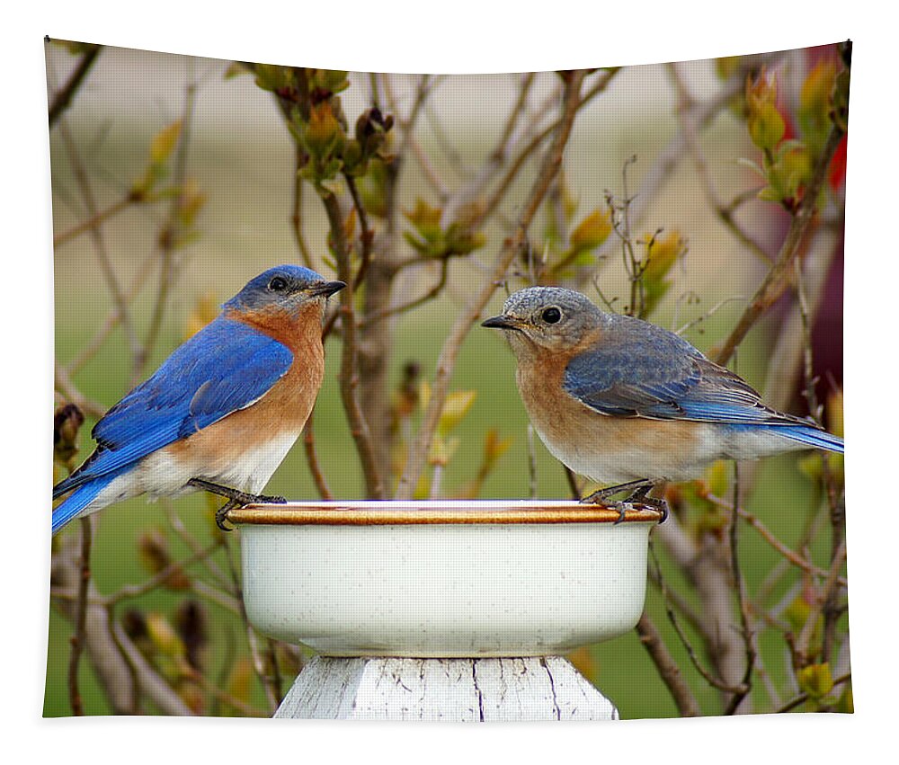 Eastern Bluebirds Tapestry featuring the photograph Just the Two of Us by Bill Pevlor