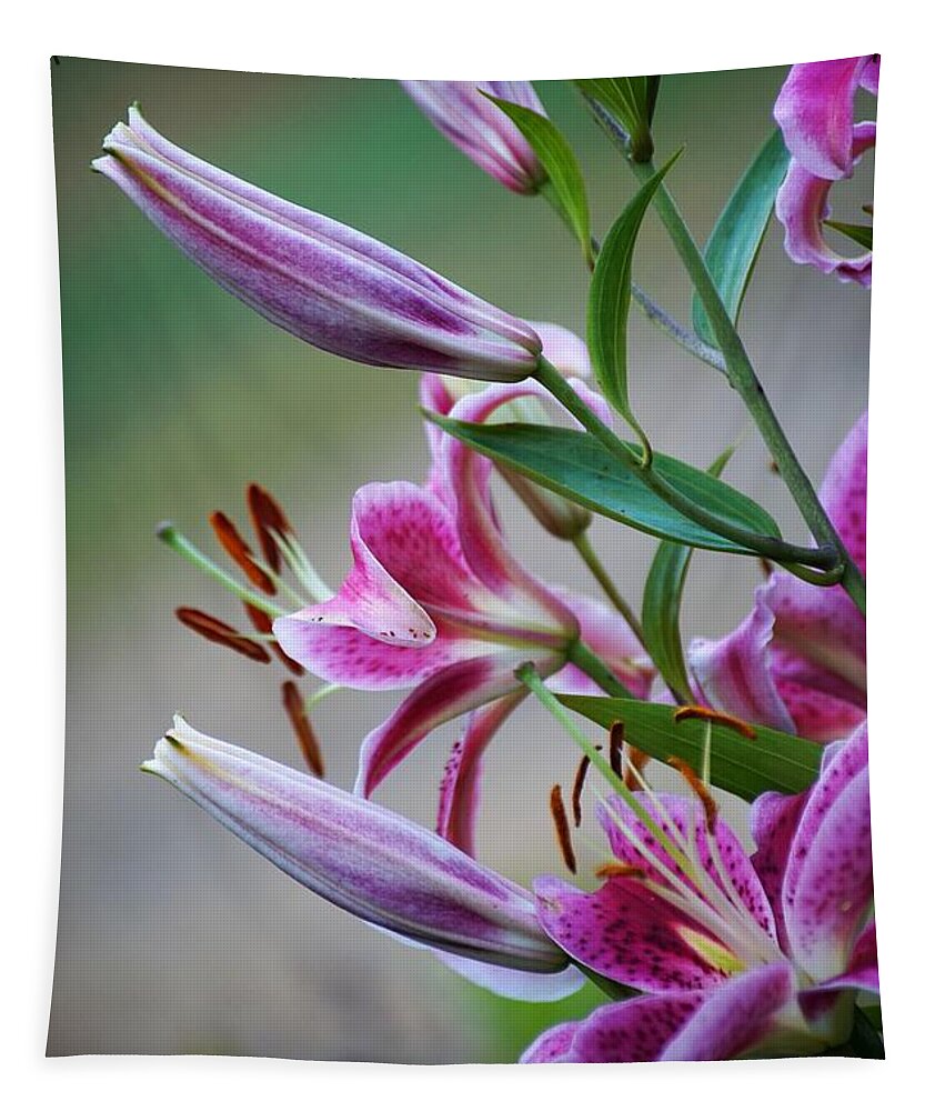Lilly Tapestry featuring the photograph K and D Lilly 3 by Merle Grenz