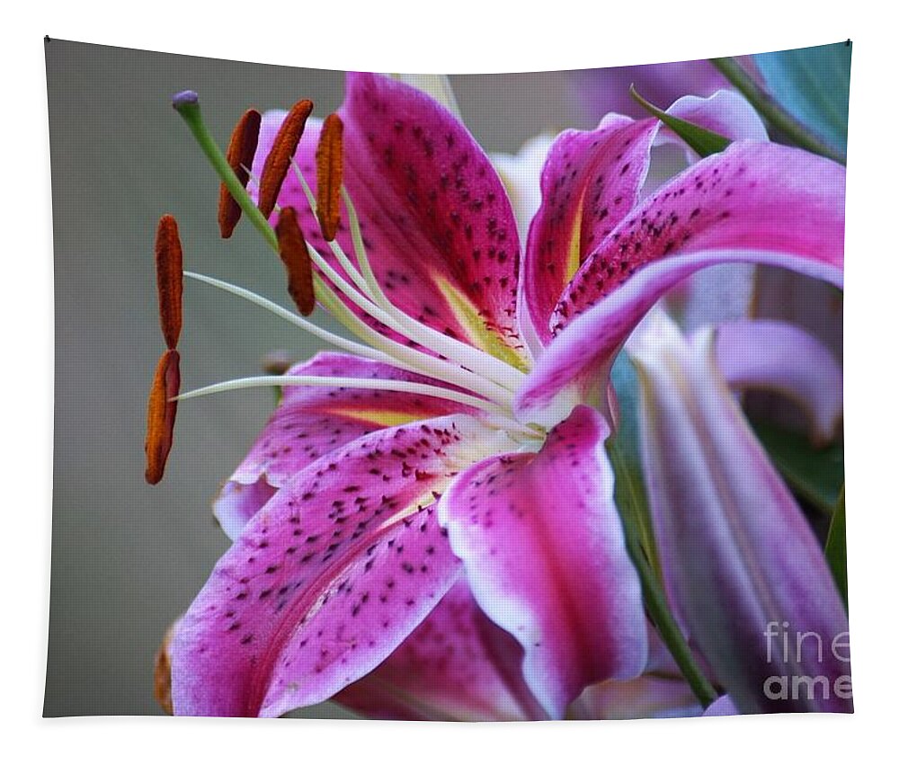 Lilly Tapestry featuring the photograph K and D Lilly 6 by Merle Grenz