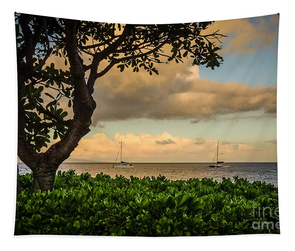 Photograph Tapestry featuring the photograph Ka'anapali Plumeria Tree by Kelly Wade