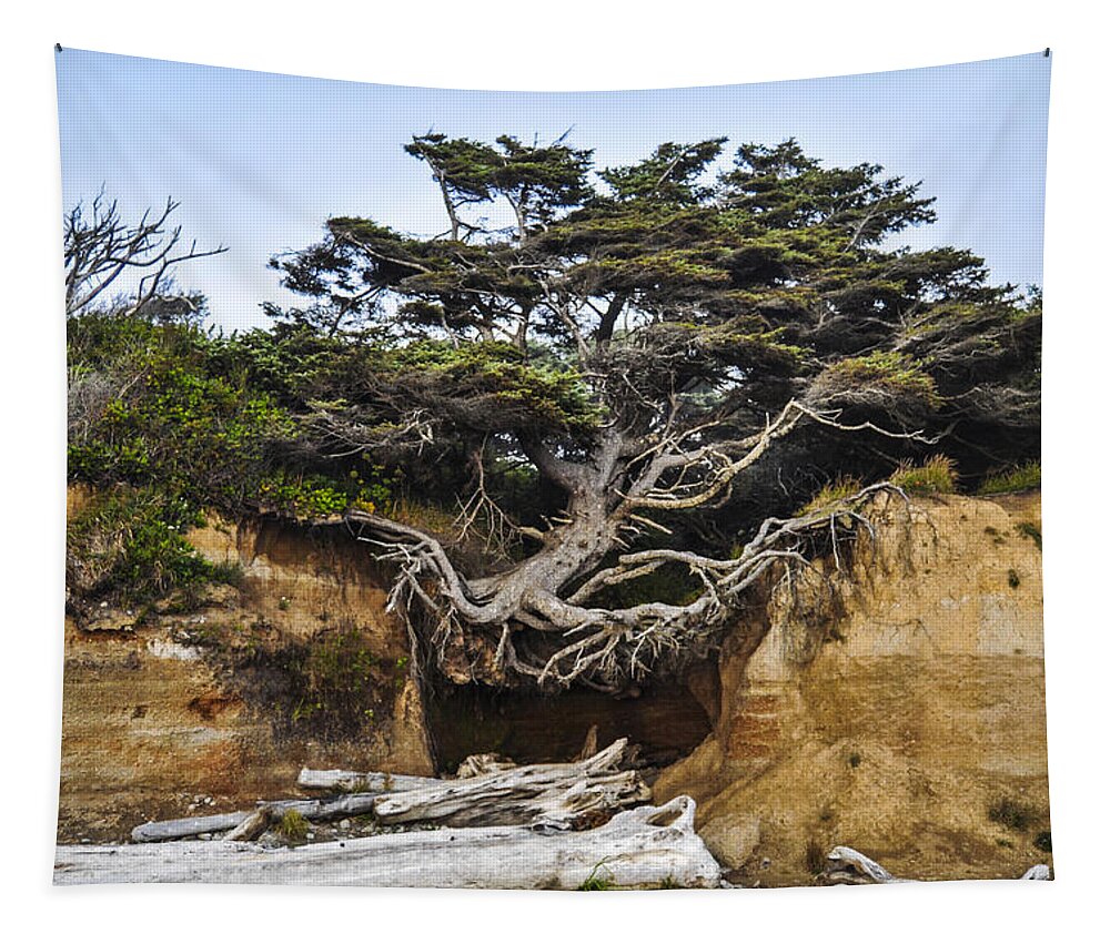 Lone Tapestry featuring the photograph Kalaloch Hanging Tree by Pelo Blanco Photo