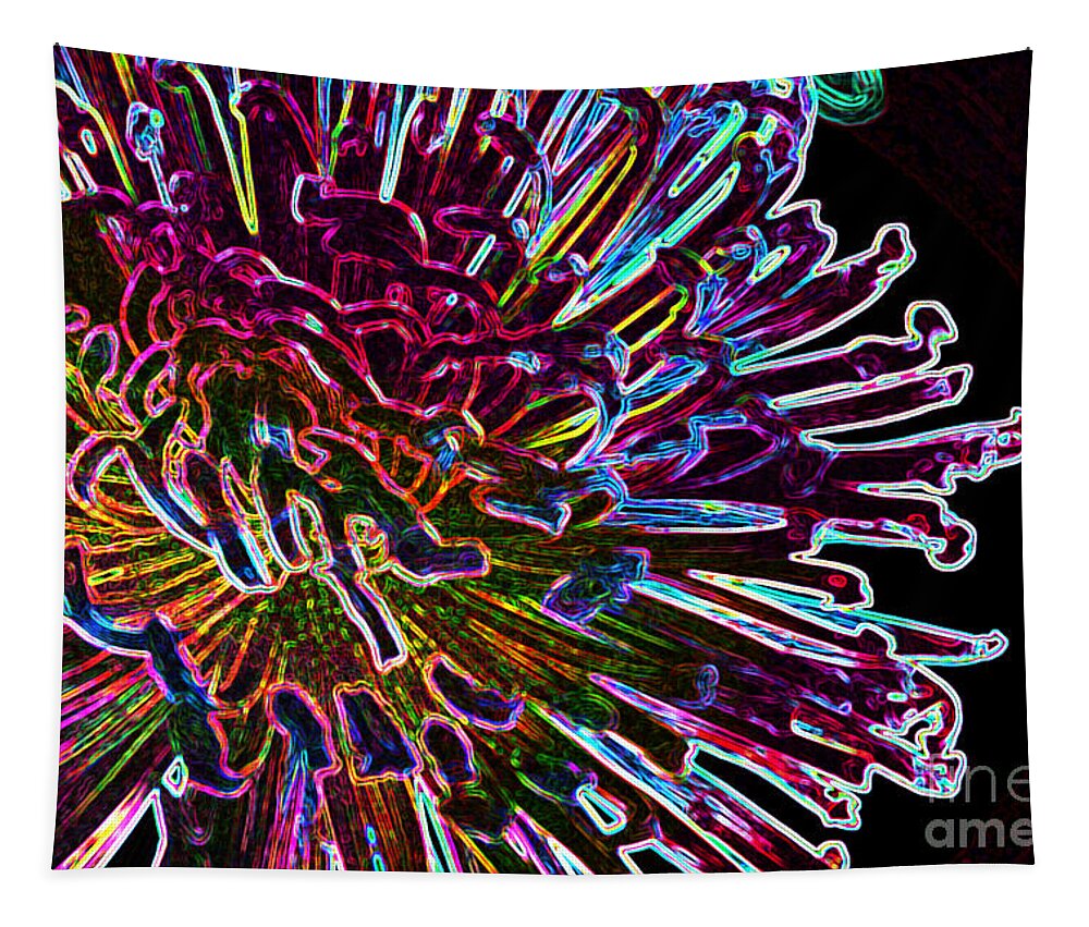 Flowers In The Kitchen Tapestry featuring the photograph Kaleidoscopic by Julie Lueders 